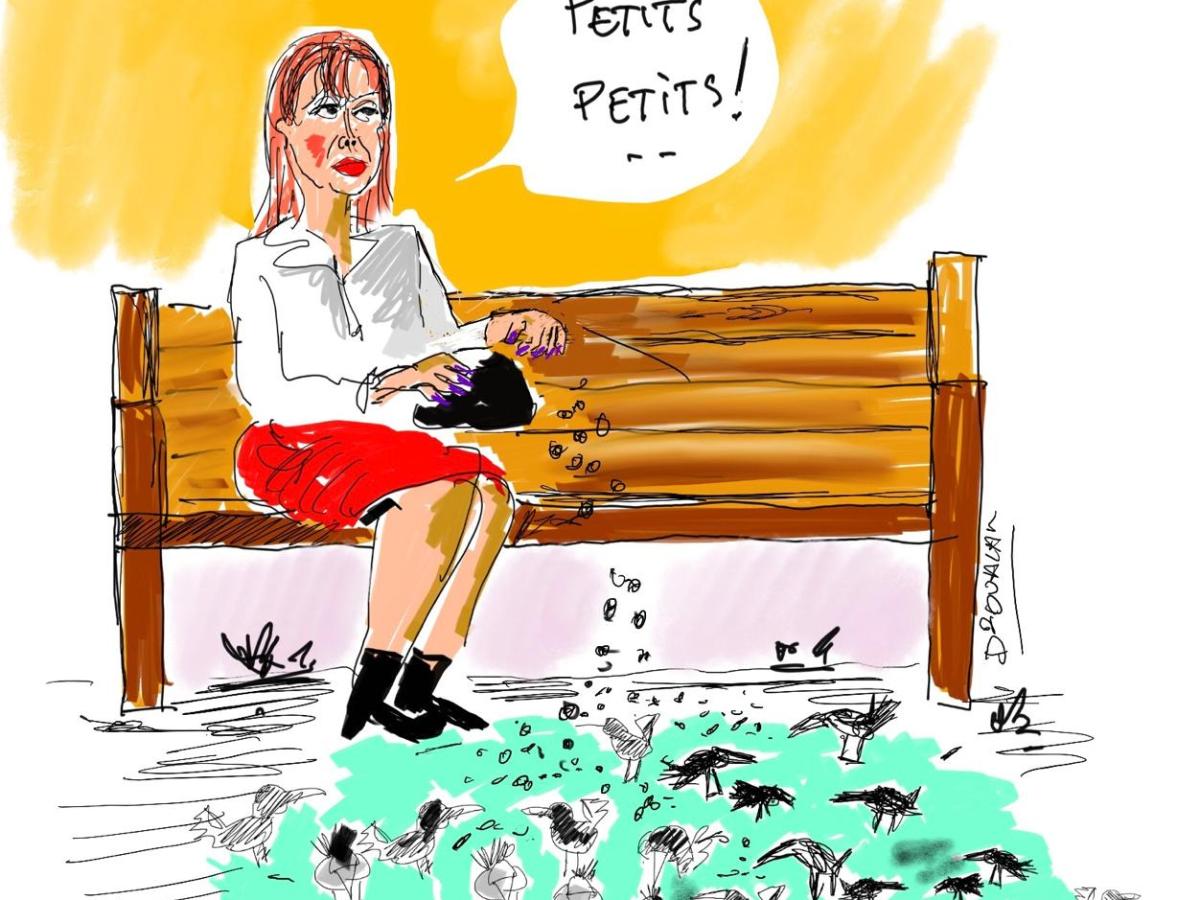 L&rsquo;ÉLECTION BIARROTE PASSIONNE LE DOCTEUR OUALAM